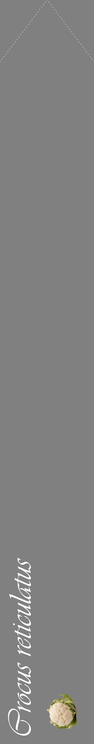 Étiquette de : Crocus reticulatus - format c - style blanche57_simpleviv avec comestibilité simplifiée