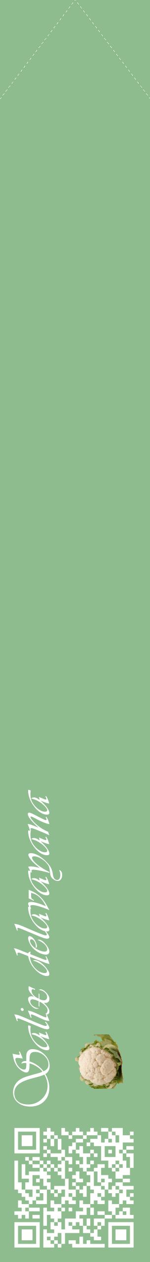 Étiquette de : Salix delavayana - format c - style blanche13_simpleviv avec qrcode et comestibilité simplifiée