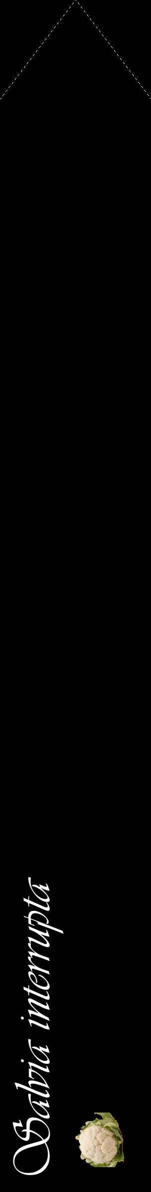 Étiquette de : Salvia interrupta - format c - style blanche59_simpleviv avec comestibilité simplifiée
