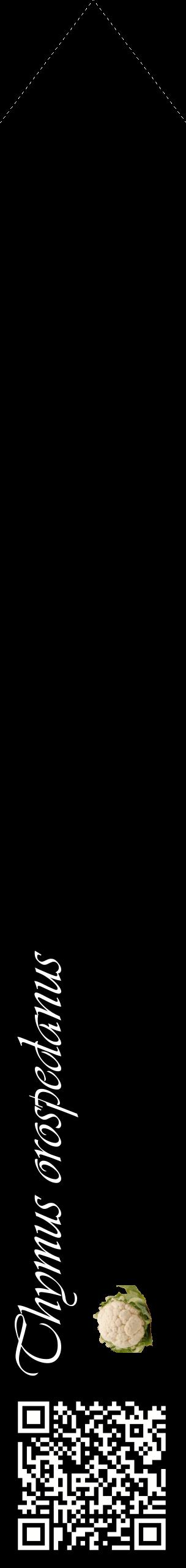 Étiquette de : Thymus orospedanus - format c - style blanche59_simpleviv avec qrcode et comestibilité simplifiée