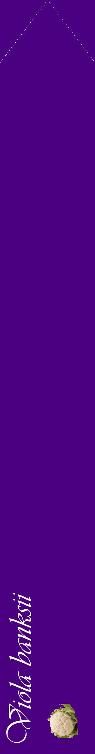 Étiquette de : Viola banksii - format c - style blanche47_simpleviv avec comestibilité simplifiée