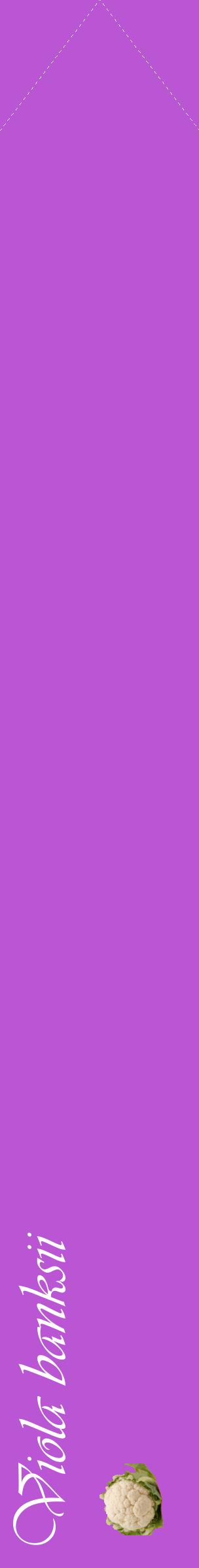 Étiquette de : Viola banksii - format c - style blanche50_simpleviv avec comestibilité simplifiée