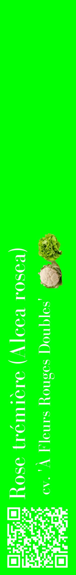 Étiquette de : Alcea rosea cv. 'À Fleurs Rouges Doubles' - format c - style blanche16_basiquebod avec qrcode et comestibilité simplifiée