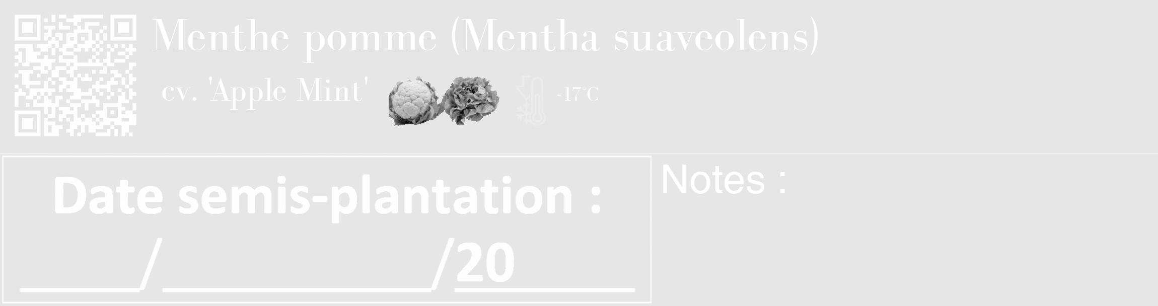 Étiquette de : Mentha suaveolens cv. 'Apple Mint' - format c - style blanche18_basique_basiquebod avec qrcode et comestibilité simplifiée