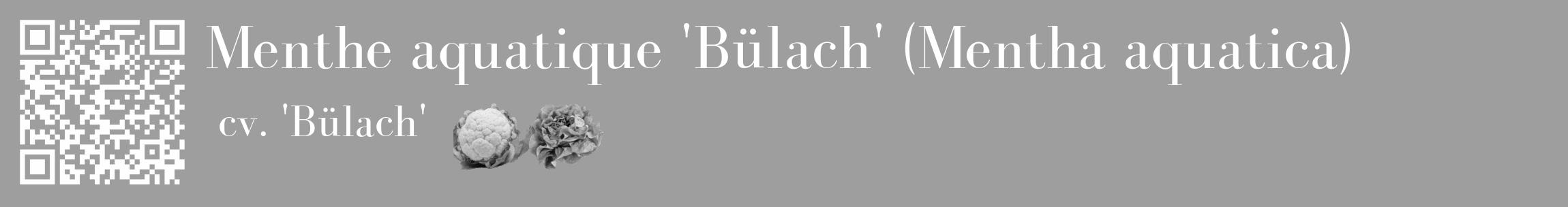 Étiquette de : Mentha aquatica cv. 'Bülach' - format c - style blanche23_basique_basiquebod avec qrcode et comestibilité simplifiée