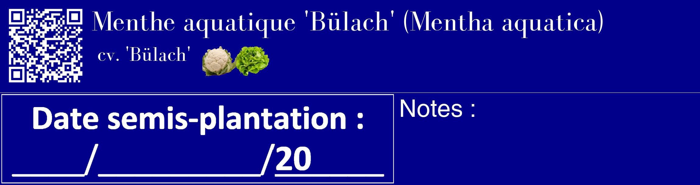 Étiquette de : Mentha aquatica cv. 'Bülach' - format c - style blanche7_basique_basiquebod avec qrcode et comestibilité simplifiée