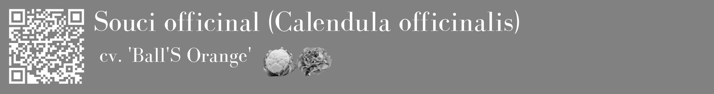 Étiquette de : Calendula officinalis cv. 'Ball'S Orange' - format c - style blanche50_basique_basiquebod avec qrcode et comestibilité simplifiée
