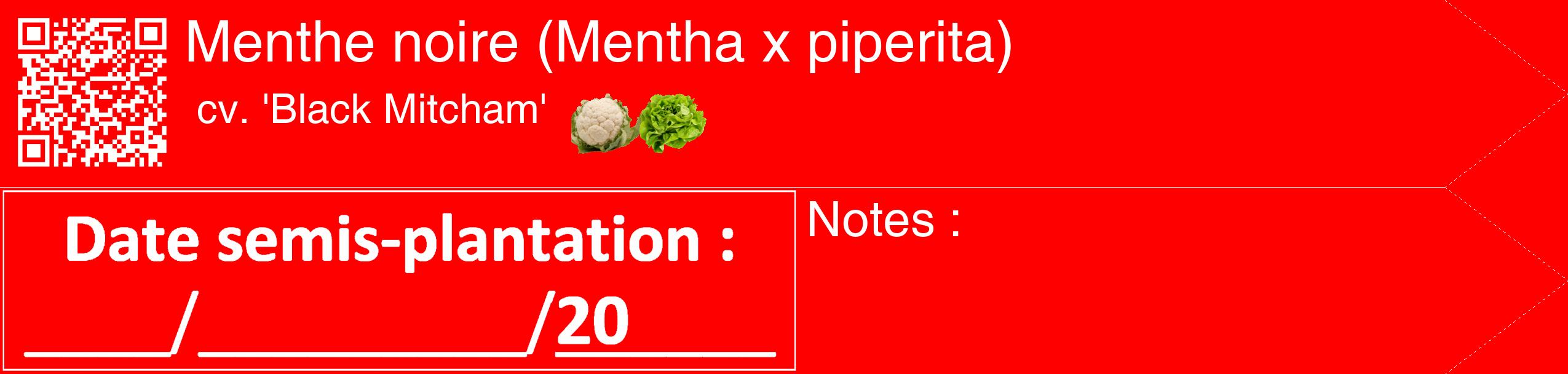 Étiquette de : Mentha x piperita cv. 'Black Mitcham' - format c - style blanche27_simple_simplehel avec qrcode et comestibilité simplifiée