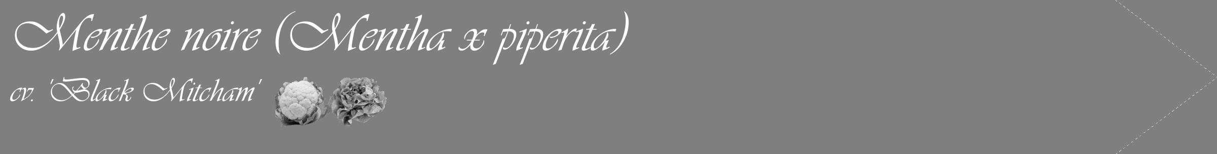 Étiquette de : Mentha x piperita cv. 'Black Mitcham' - format c - style blanche57_simple_simpleviv avec comestibilité simplifiée