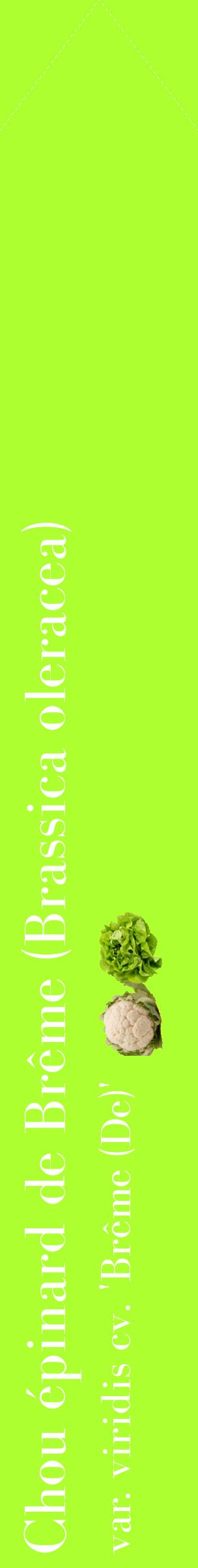 Étiquette de : Brassica oleracea var. viridis cv. 'Brême (De)' - format c - style blanche17_simplebod avec comestibilité simplifiée