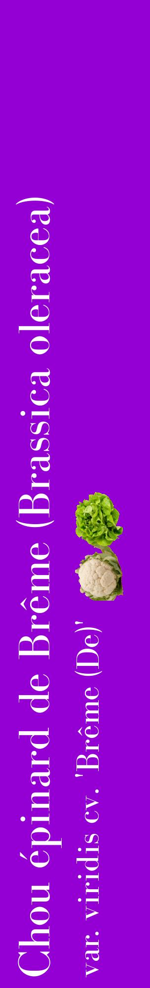 Étiquette de : Brassica oleracea var. viridis cv. 'Brême (De)' - format c - style blanche48_basiquebod avec comestibilité simplifiée
