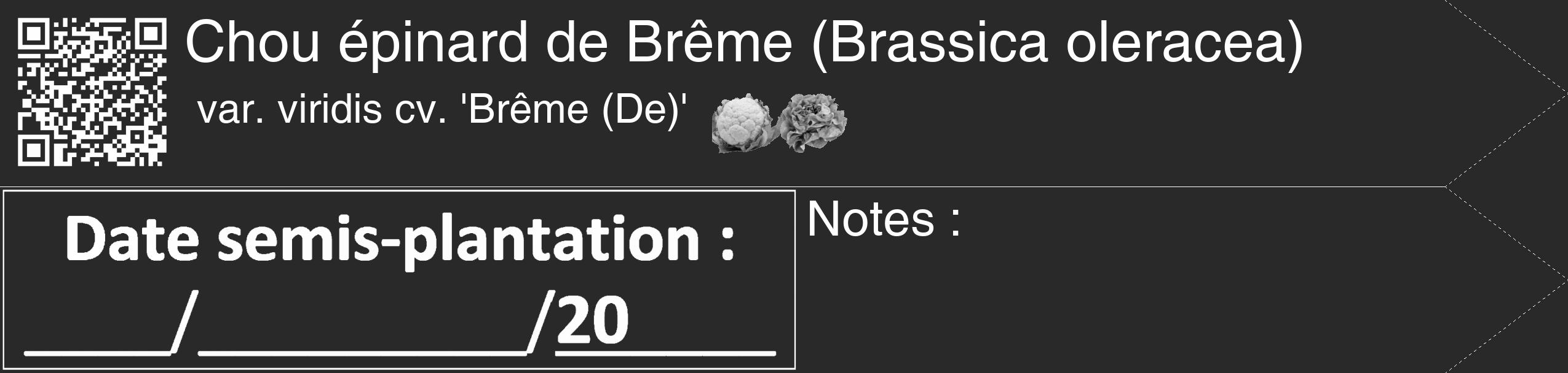 Étiquette de : Brassica oleracea var. viridis cv. 'Brême (De)' - format c - style blanche34_simple_simplehel avec qrcode et comestibilité simplifiée