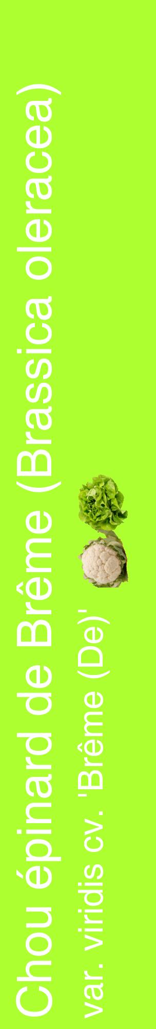 Étiquette de : Brassica oleracea var. viridis cv. 'Brême (De)' - format c - style blanche17_basiquehel avec comestibilité simplifiée