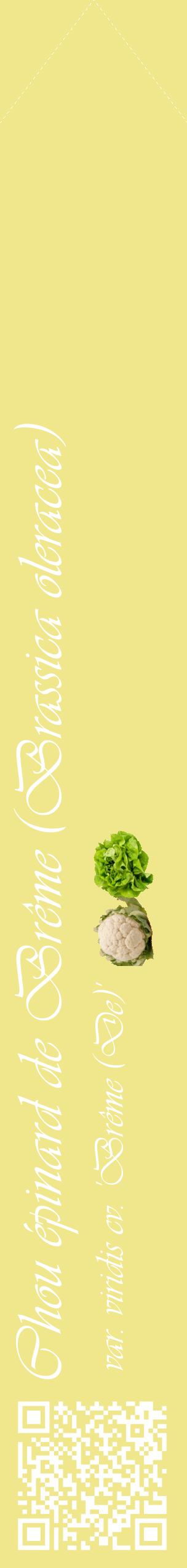 Étiquette de : Brassica oleracea var. viridis cv. 'Brême (De)' - format c - style blanche20_simpleviv avec qrcode et comestibilité simplifiée