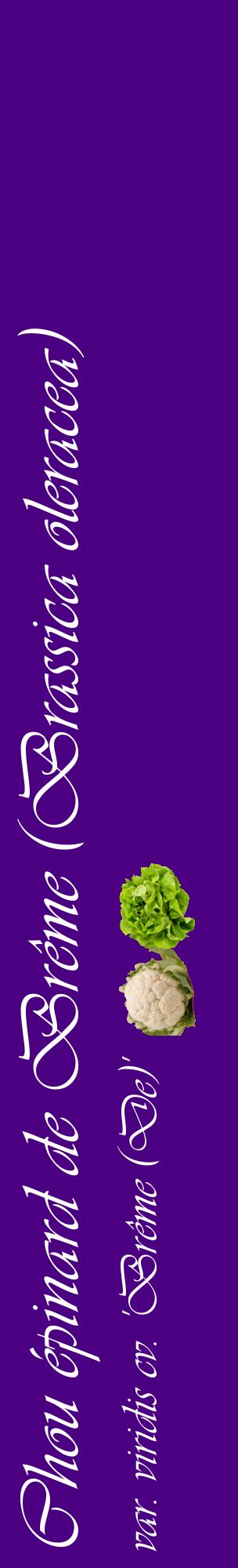 Étiquette de : Brassica oleracea var. viridis cv. 'Brême (De)' - format c - style blanche47_basiqueviv avec comestibilité simplifiée