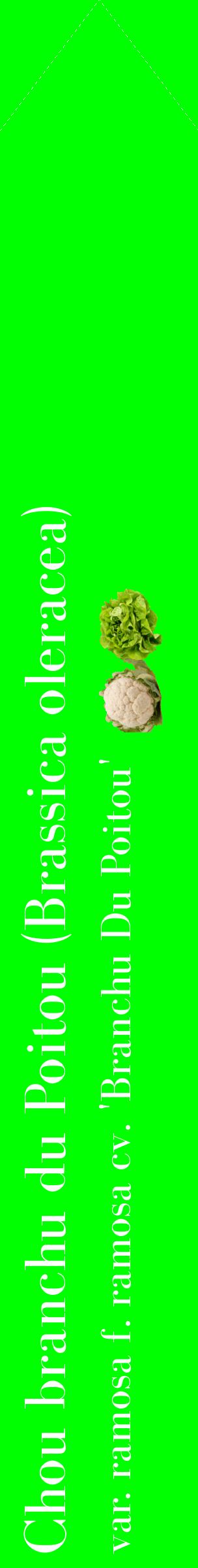 Étiquette de : Brassica oleracea var. ramosa f. ramosa cv. 'Branchu Du Poitou' - format c - style blanche16_simplebod avec comestibilité simplifiée