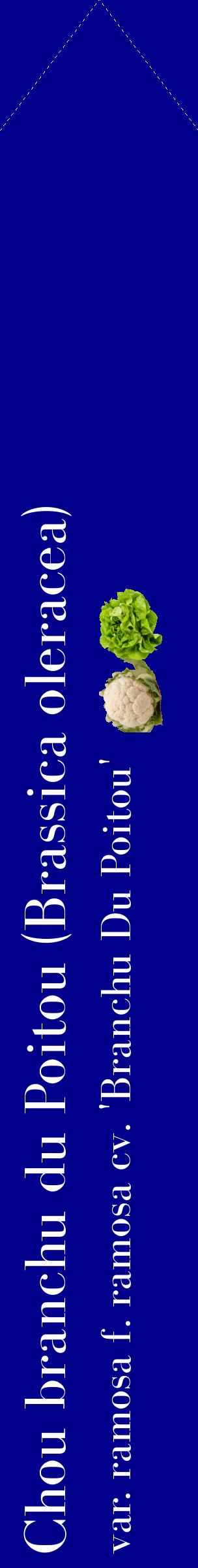 Étiquette de : Brassica oleracea var. ramosa f. ramosa cv. 'Branchu Du Poitou' - format c - style blanche7_simplebod avec comestibilité simplifiée