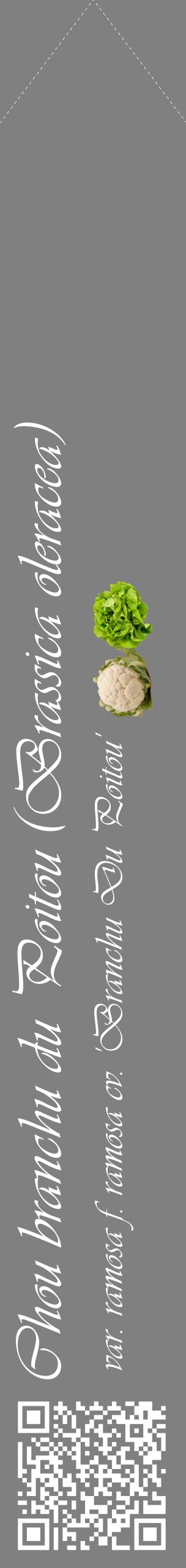Étiquette de : Brassica oleracea var. ramosa f. ramosa cv. 'Branchu Du Poitou' - format c - style blanche57_simpleviv avec qrcode et comestibilité simplifiée