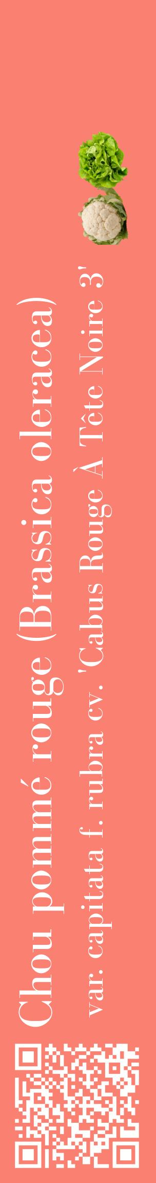 Étiquette de : Brassica oleracea var. capitata f. rubra cv. 'Cabus Rouge À Tête Noire 3' - format c - style blanche38_basiquebod avec qrcode et comestibilité simplifiée