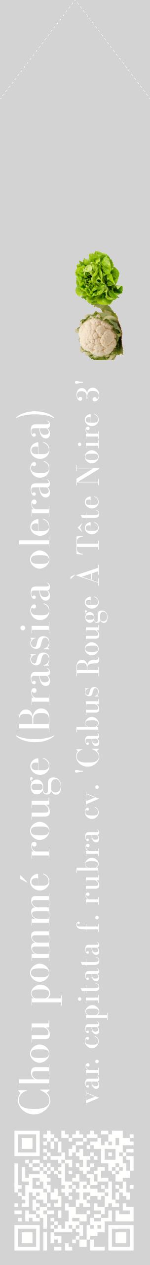 Étiquette de : Brassica oleracea var. capitata f. rubra cv. 'Cabus Rouge À Tête Noire 3' - format c - style blanche56_simplebod avec qrcode et comestibilité simplifiée