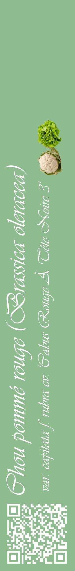 Étiquette de : Brassica oleracea var. capitata f. rubra cv. 'Cabus Rouge À Tête Noire 3' - format c - style blanche13_basiqueviv avec qrcode et comestibilité simplifiée