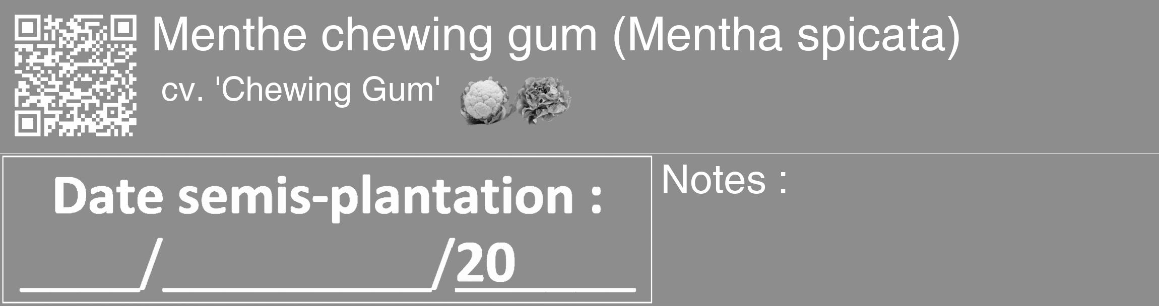 Étiquette de : Mentha spicata cv. 'Chewing Gum' - format c - style blanche2_basique_basiquehel avec qrcode et comestibilité simplifiée