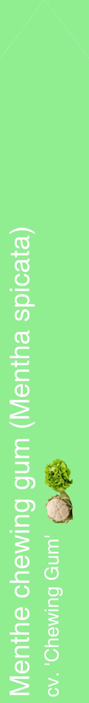 Étiquette de : Mentha spicata cv. 'Chewing Gum' - format c - style blanche15_simplehel avec comestibilité simplifiée