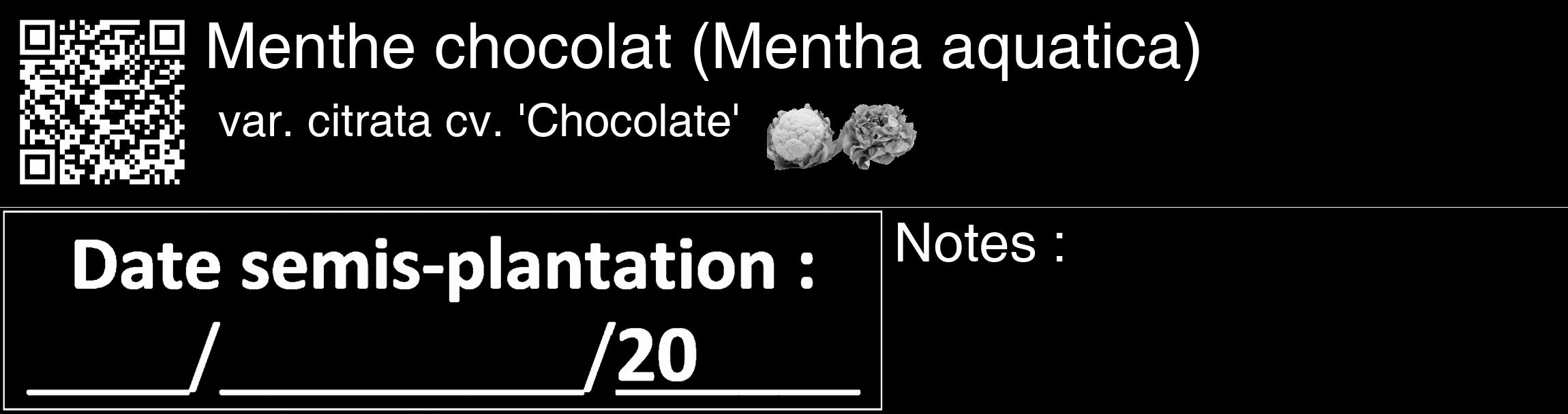 Étiquette de : Mentha aquatica var. citrata cv. 'Chocolate' - format c - style blanche59_basique_basiquehel avec qrcode et comestibilité simplifiée