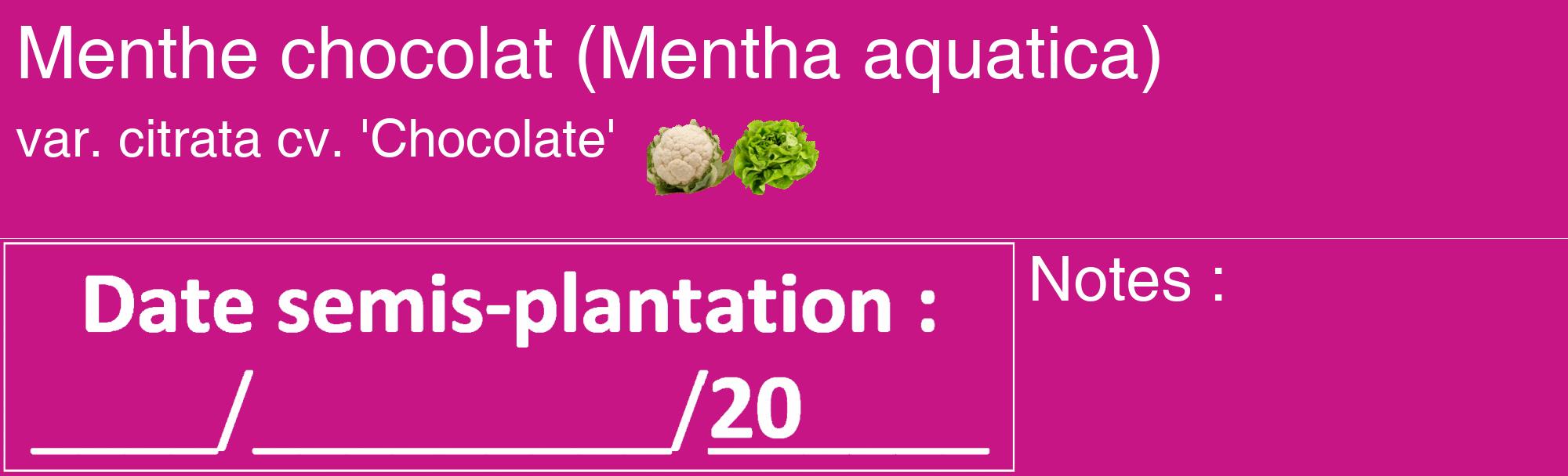 Étiquette de : Mentha aquatica var. citrata cv. 'Chocolate' - format c - style blanche45_basique_basiquehel avec comestibilité simplifiée