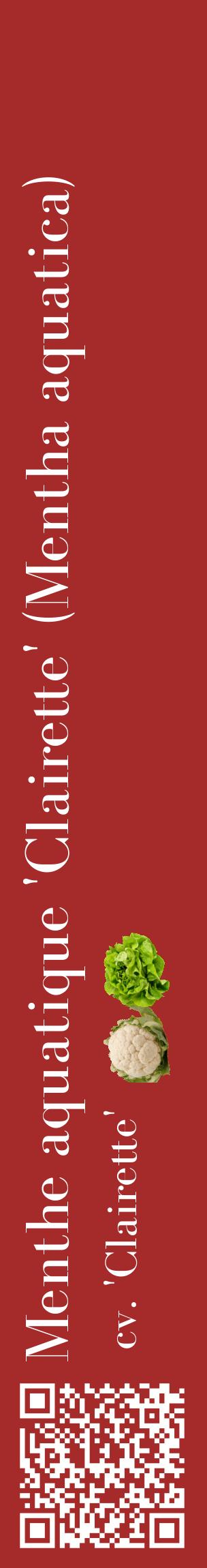 Étiquette de : Mentha aquatica cv. 'Clairette' - format c - style blanche33_basiquebod avec qrcode et comestibilité simplifiée