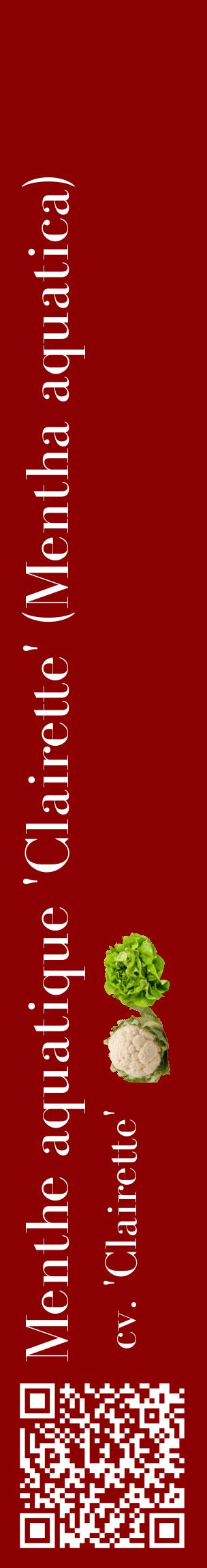 Étiquette de : Mentha aquatica cv. 'Clairette' - format c - style blanche34_basiquebod avec qrcode et comestibilité simplifiée