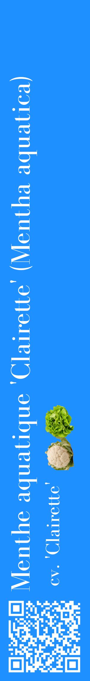 Étiquette de : Mentha aquatica cv. 'Clairette' - format c - style blanche3_basiquebod avec qrcode et comestibilité simplifiée