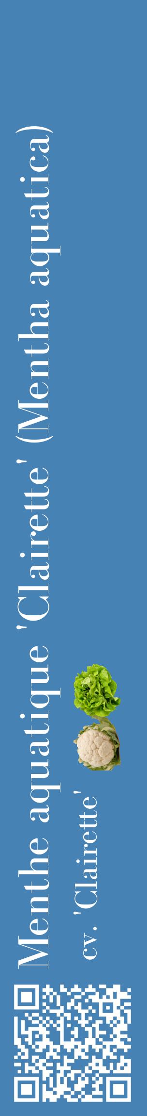 Étiquette de : Mentha aquatica cv. 'Clairette' - format c - style blanche5_basiquebod avec qrcode et comestibilité simplifiée