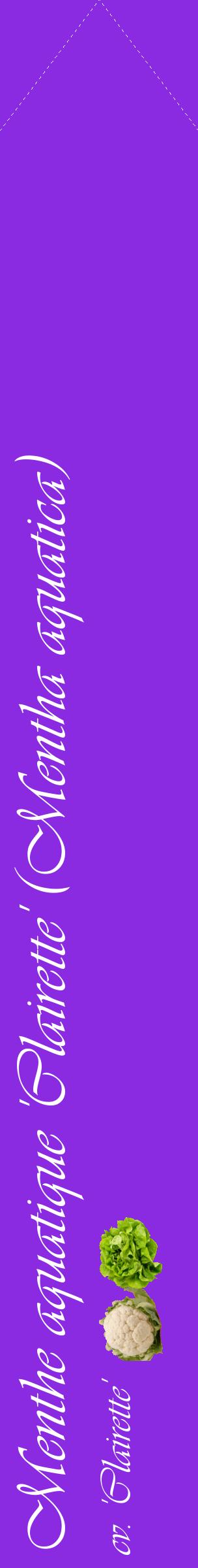 Étiquette de : Mentha aquatica cv. 'Clairette' - format c - style blanche49_simpleviv avec comestibilité simplifiée