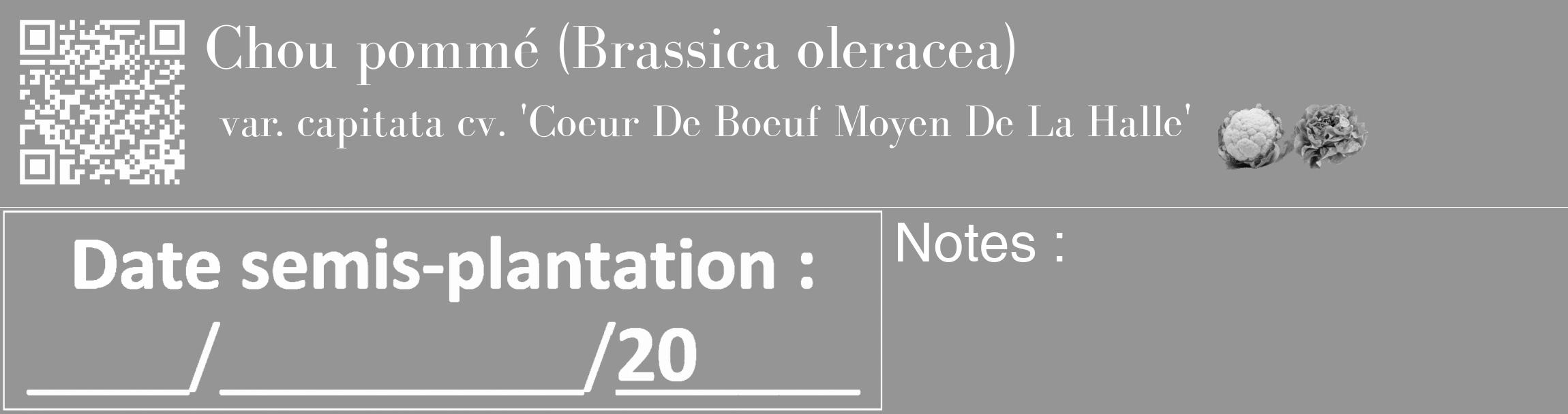 Étiquette de : Brassica oleracea var. capitata cv. 'Coeur De Boeuf Moyen De La Halle' - format c - style blanche16_basique_basiquebod avec qrcode et comestibilité simplifiée