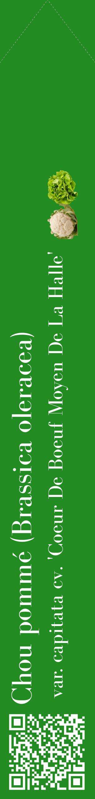 Étiquette de : Brassica oleracea var. capitata cv. 'Coeur De Boeuf Moyen De La Halle' - format c - style blanche10_simplebod avec qrcode et comestibilité simplifiée