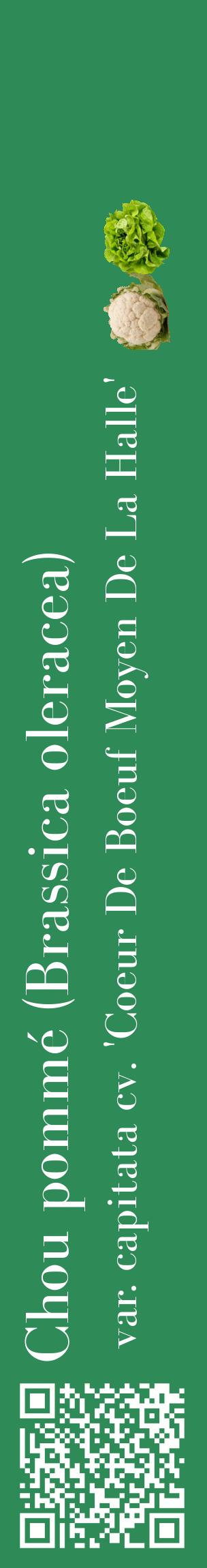 Étiquette de : Brassica oleracea var. capitata cv. 'Coeur De Boeuf Moyen De La Halle' - format c - style blanche11_basiquebod avec qrcode et comestibilité simplifiée