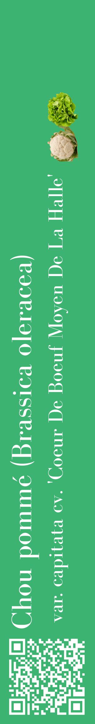 Étiquette de : Brassica oleracea var. capitata cv. 'Coeur De Boeuf Moyen De La Halle' - format c - style blanche12_basiquebod avec qrcode et comestibilité simplifiée
