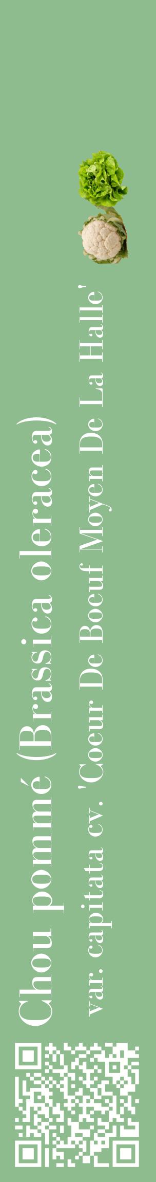 Étiquette de : Brassica oleracea var. capitata cv. 'Coeur De Boeuf Moyen De La Halle' - format c - style blanche13_basiquebod avec qrcode et comestibilité simplifiée