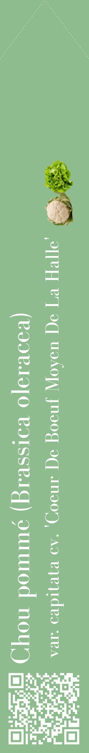 Étiquette de : Brassica oleracea var. capitata cv. 'Coeur De Boeuf Moyen De La Halle' - format c - style blanche13_simplebod avec qrcode et comestibilité simplifiée