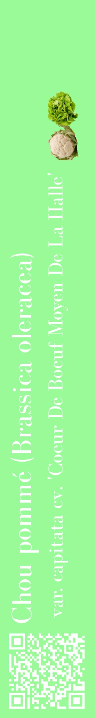 Étiquette de : Brassica oleracea var. capitata cv. 'Coeur De Boeuf Moyen De La Halle' - format c - style blanche14_basiquebod avec qrcode et comestibilité simplifiée
