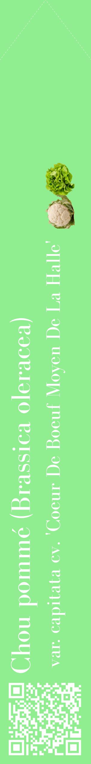 Étiquette de : Brassica oleracea var. capitata cv. 'Coeur De Boeuf Moyen De La Halle' - format c - style blanche15_simplebod avec qrcode et comestibilité simplifiée