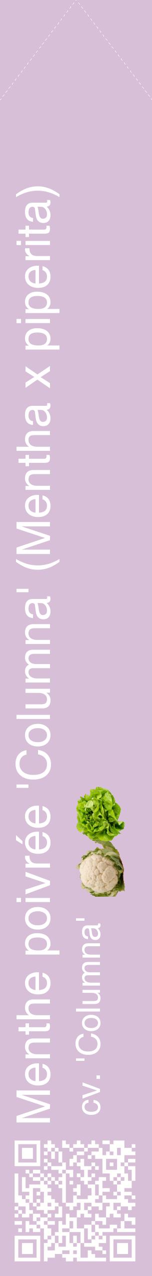 Étiquette de : Mentha x piperita cv. 'Columna' - format c - style blanche54_simplehel avec qrcode et comestibilité simplifiée