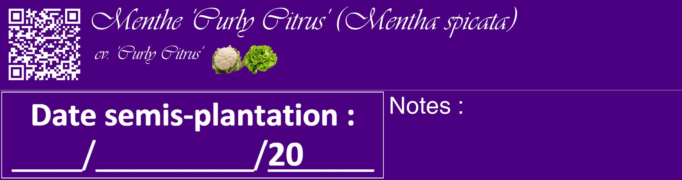Étiquette de : Mentha spicata cv. 'Curly Citrus' - format c - style blanche47_basique_basiqueviv avec qrcode et comestibilité simplifiée