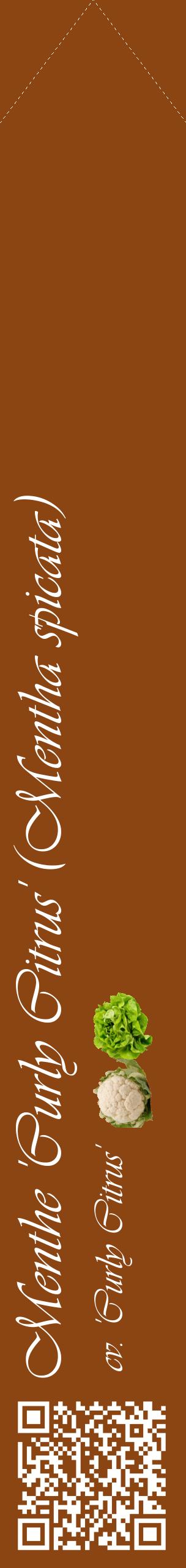 Étiquette de : Mentha spicata cv. 'Curly Citrus' - format c - style blanche30_simpleviv avec qrcode et comestibilité simplifiée