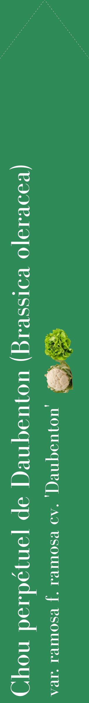 Étiquette de : Brassica oleracea var. ramosa f. ramosa cv. 'Daubenton' - format c - style blanche11_simplebod avec comestibilité simplifiée