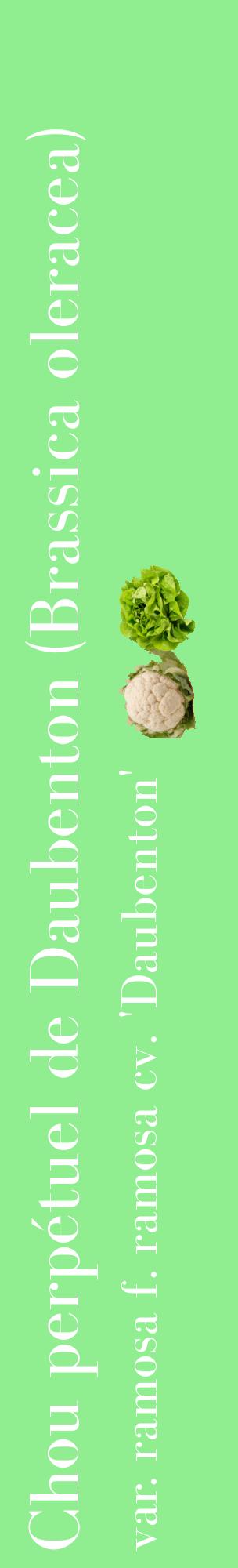 Étiquette de : Brassica oleracea var. ramosa f. ramosa cv. 'Daubenton' - format c - style blanche15_basiquebod avec comestibilité simplifiée