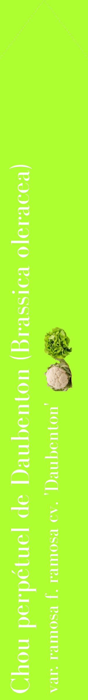 Étiquette de : Brassica oleracea var. ramosa f. ramosa cv. 'Daubenton' - format c - style blanche17_simplebod avec comestibilité simplifiée