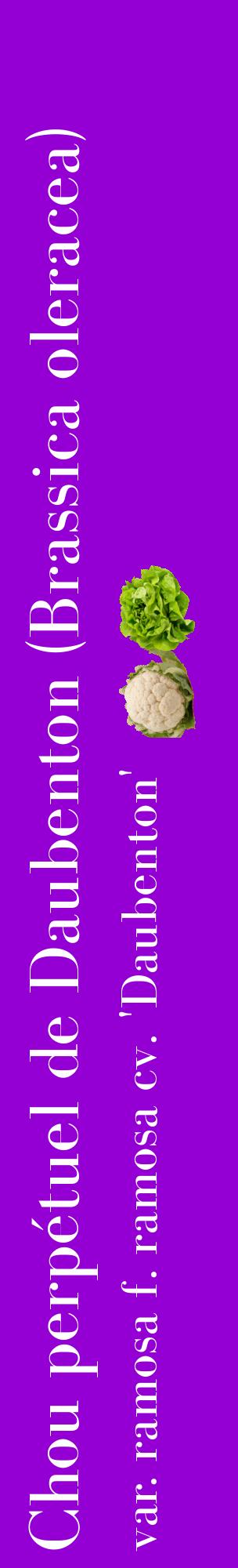 Étiquette de : Brassica oleracea var. ramosa f. ramosa cv. 'Daubenton' - format c - style blanche48_basiquebod avec comestibilité simplifiée
