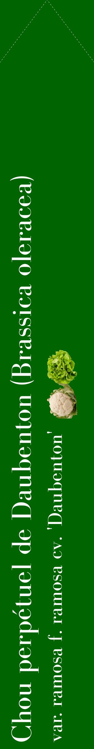 Étiquette de : Brassica oleracea var. ramosa f. ramosa cv. 'Daubenton' - format c - style blanche8_simplebod avec comestibilité simplifiée